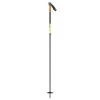 Scott Proguide C SRS Poles