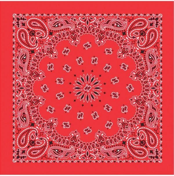 Top 10 ✨ CAROLINA MANUF Liberty Mountain Bandana ⭐ 4 CAROLINA MANUF Liberty Mountain Bandana