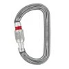 Petzl AM'D Screw-Lock Carabiner