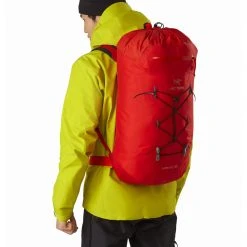 ARC'TERYX Arcteryx Alpha FL 40 Backpack