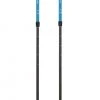 Asnes Nansen 2-Section Alloy /Carbon Poles