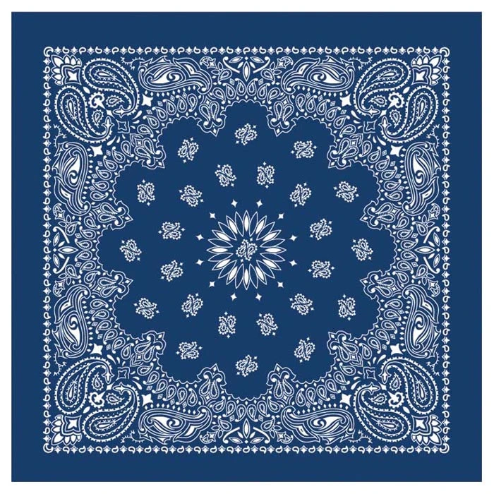 Top 10 ✨ CAROLINA MANUF Liberty Mountain Bandana ⭐ 3 CAROLINA MANUF Liberty Mountain Bandana