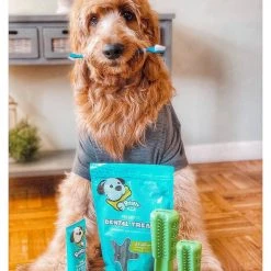 Bristly Prebiotic Dental Treat