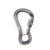 Black Diamond Gridlock Screwgate Carabiner