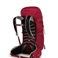 Backpacks & Duffels Osprey Talon 33 Men's