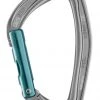 Petzl Djinn Straight Gate Carabiner
