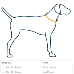 Ruffwear Crag Dog Collar Pets