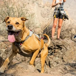 Ruffwear Doubleback Harness Pets