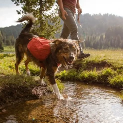 Top 10 🎁 Pets Ruffwear Front Range Day Pack ✔️ 7 Pets Ruffwear Front Range Day Pack