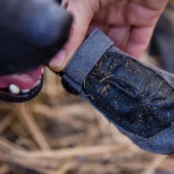 Ruffwear Summit Trex Dog Boots