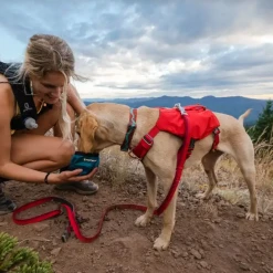 Pets Ruffwear Switchbak Dog Harness