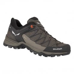 Footwear Salewa Mountain Trainer Lite GTX Men's