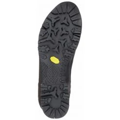 Salewa Rapace GTX Men's Footwear