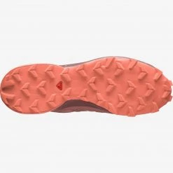 Discount 😉 Footwear Salomon Speedcross 5 Women's 😍 9 Footwear Salomon Speedcross 5 Women's