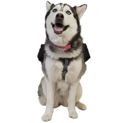 Pets Ultimate Direction Dog Vest