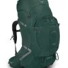 Backpacks & Duffels Osprey Aether Plus 85 Men's