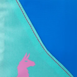 Backpacks & Duffels Cotopaxi Cubos 3L Travel Cube - Del Dia