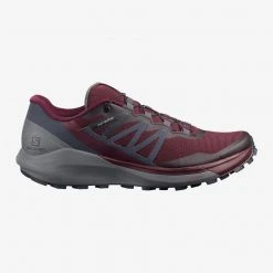 Footwear Salomon Women's Sense Ride 4