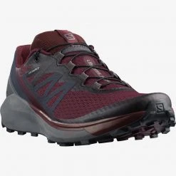 Footwear Salomon Women's Sense Ride 4